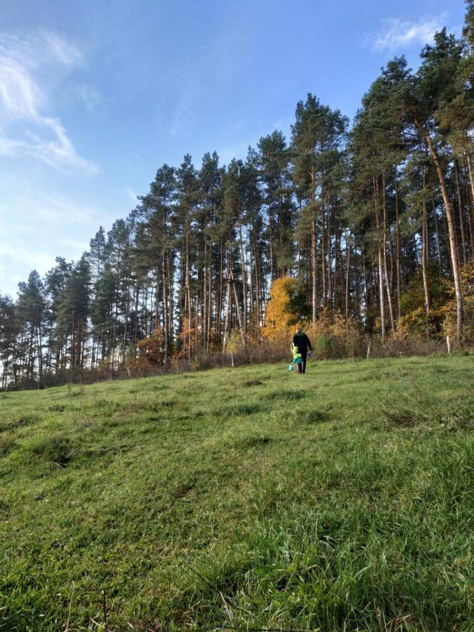Domki Nad Jeziorem - Zalesie 7D Zalesie (Olsztyn) 외부 사진